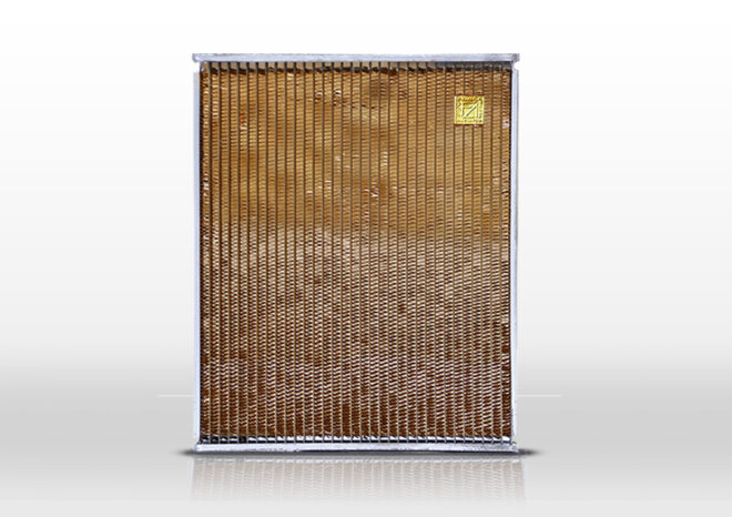 19 x 16 3R 10MM